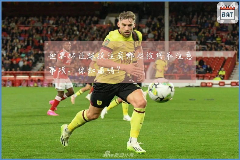 世界杯让球投注有哪些技巧和注意事项，你知道吗？