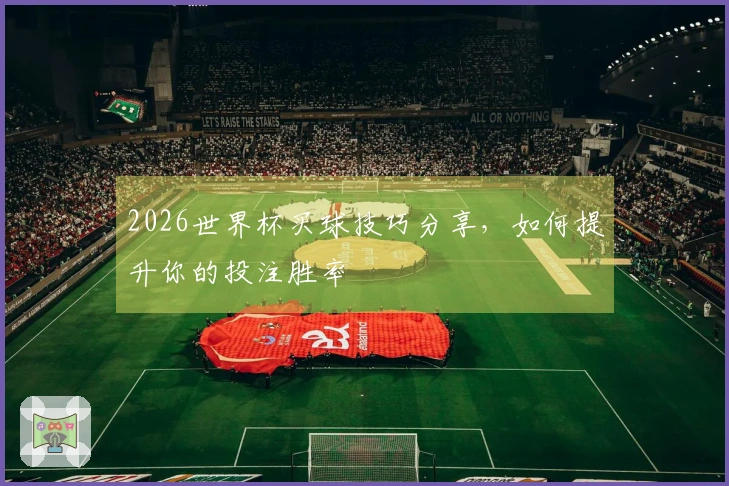 2026世界杯买球技巧分享，如何提升你的投注胜率