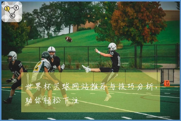 世界杯买球网站推荐与技巧分析，助你轻松下注