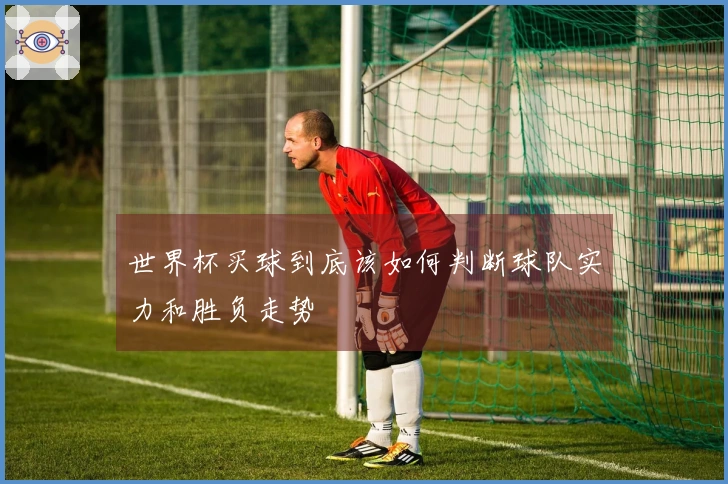 世界杯买球到底该如何判断球队实力和胜负走势
