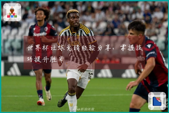 世界杯让球竞猜经验分享，掌握技巧提升胜率